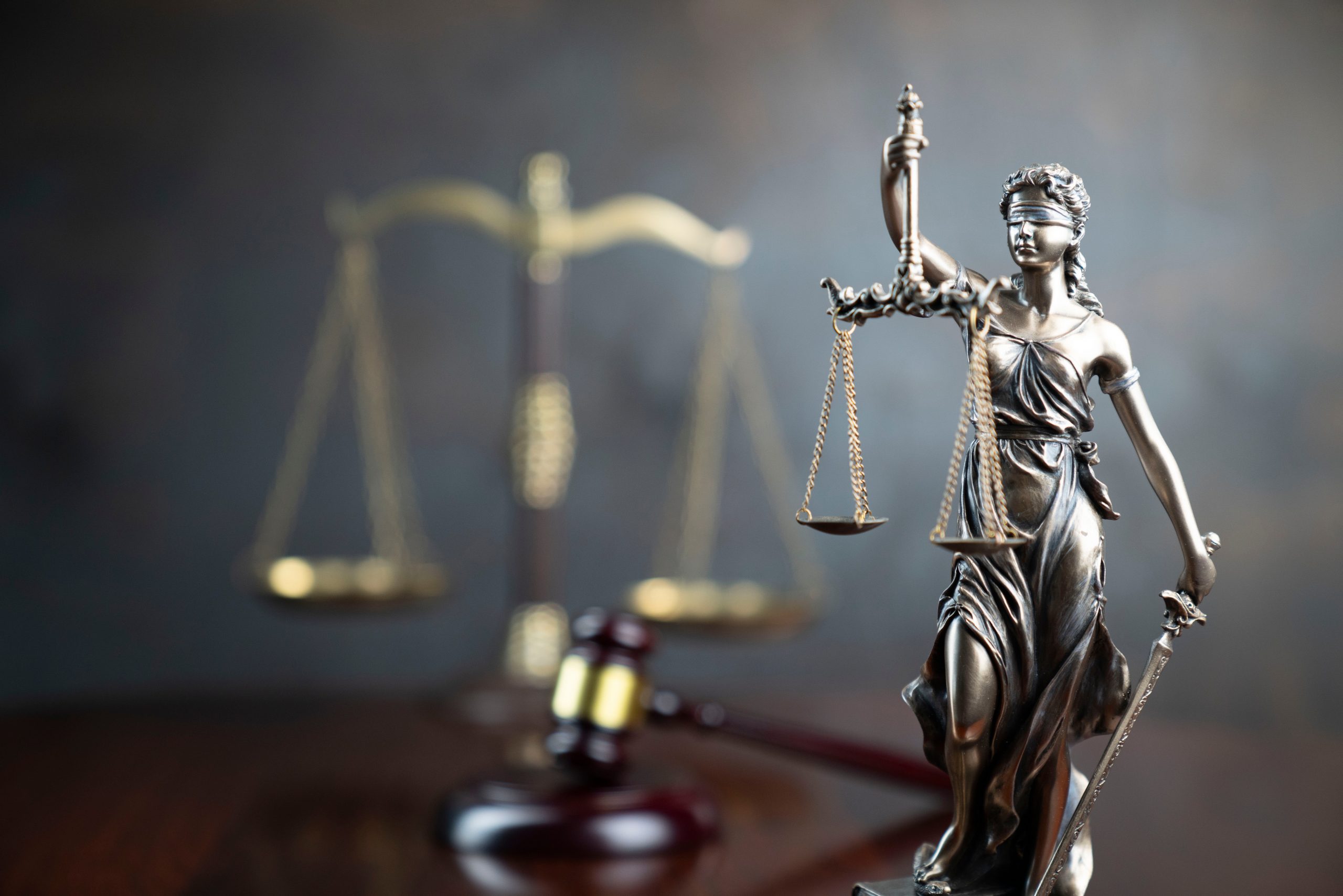 shutterstock_1457413160 scale