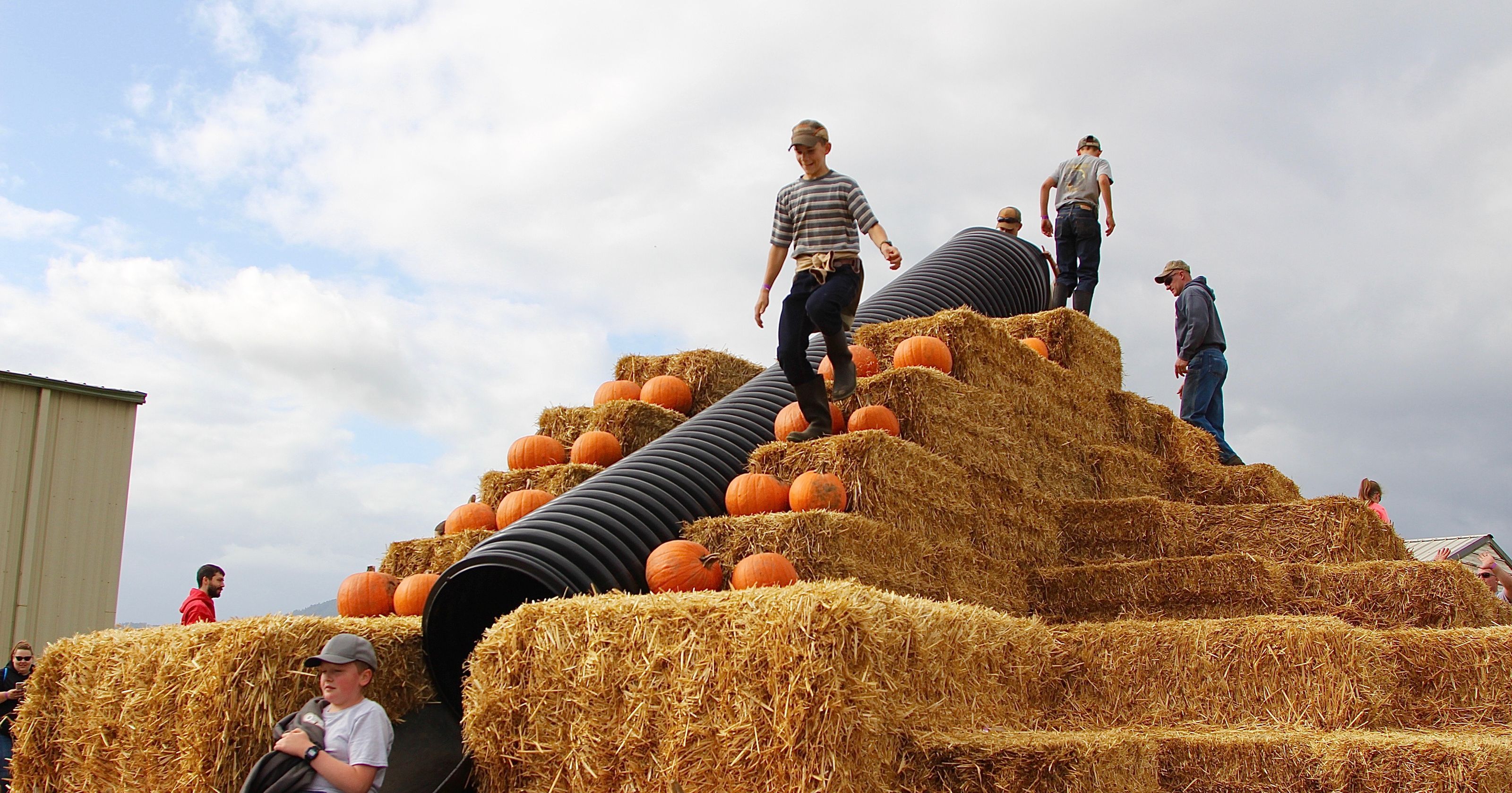 Something for everyone this fall