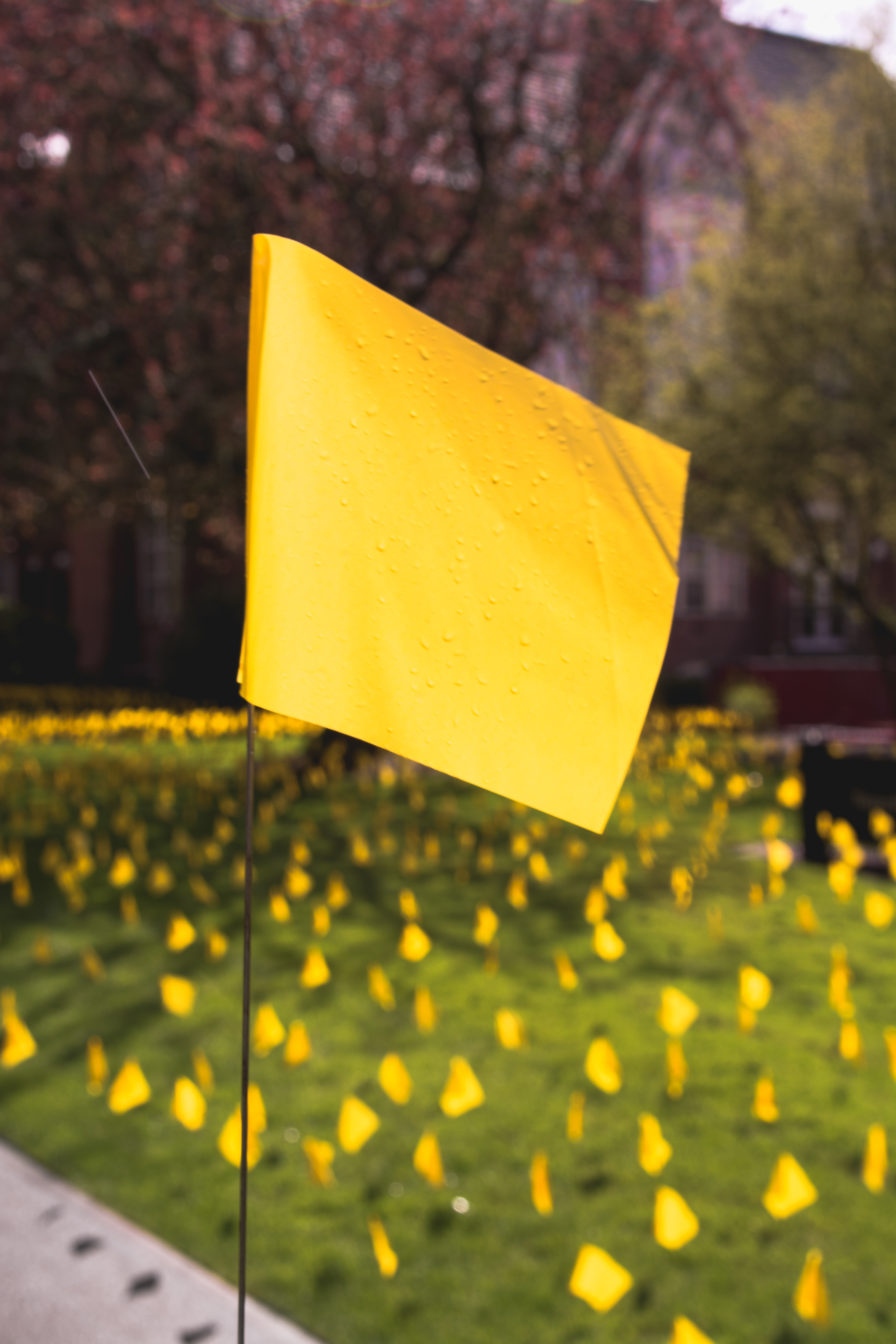 27,660 flags, 13 million lives