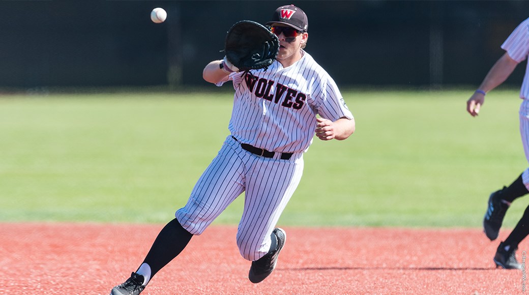 Wolves end Nighthawks playoff hopes with split