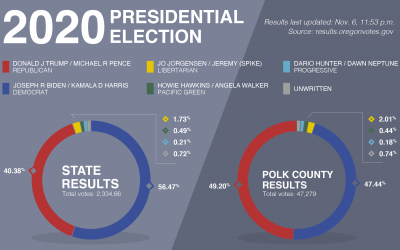 An Election Year to remember