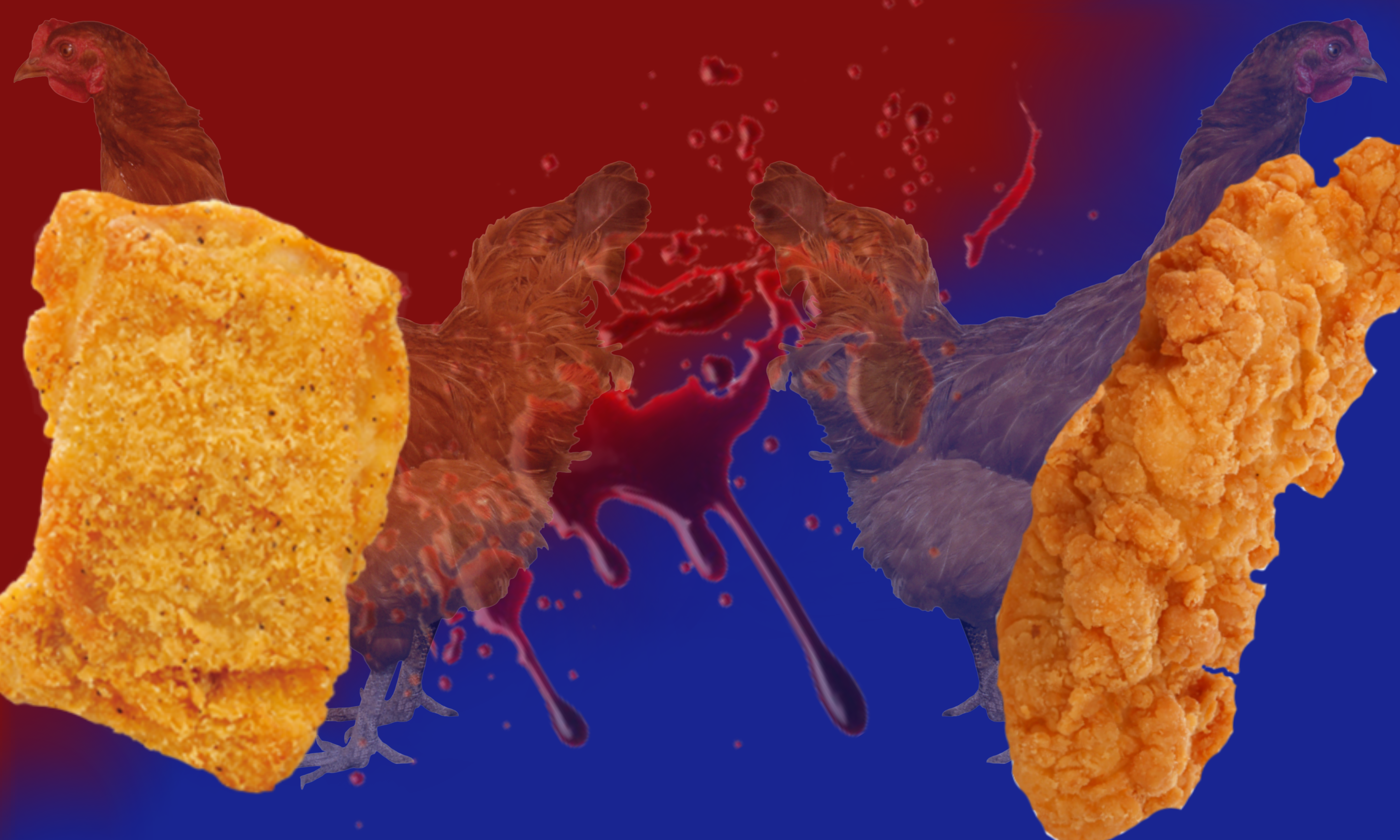 The signs vote on the best form of chicken