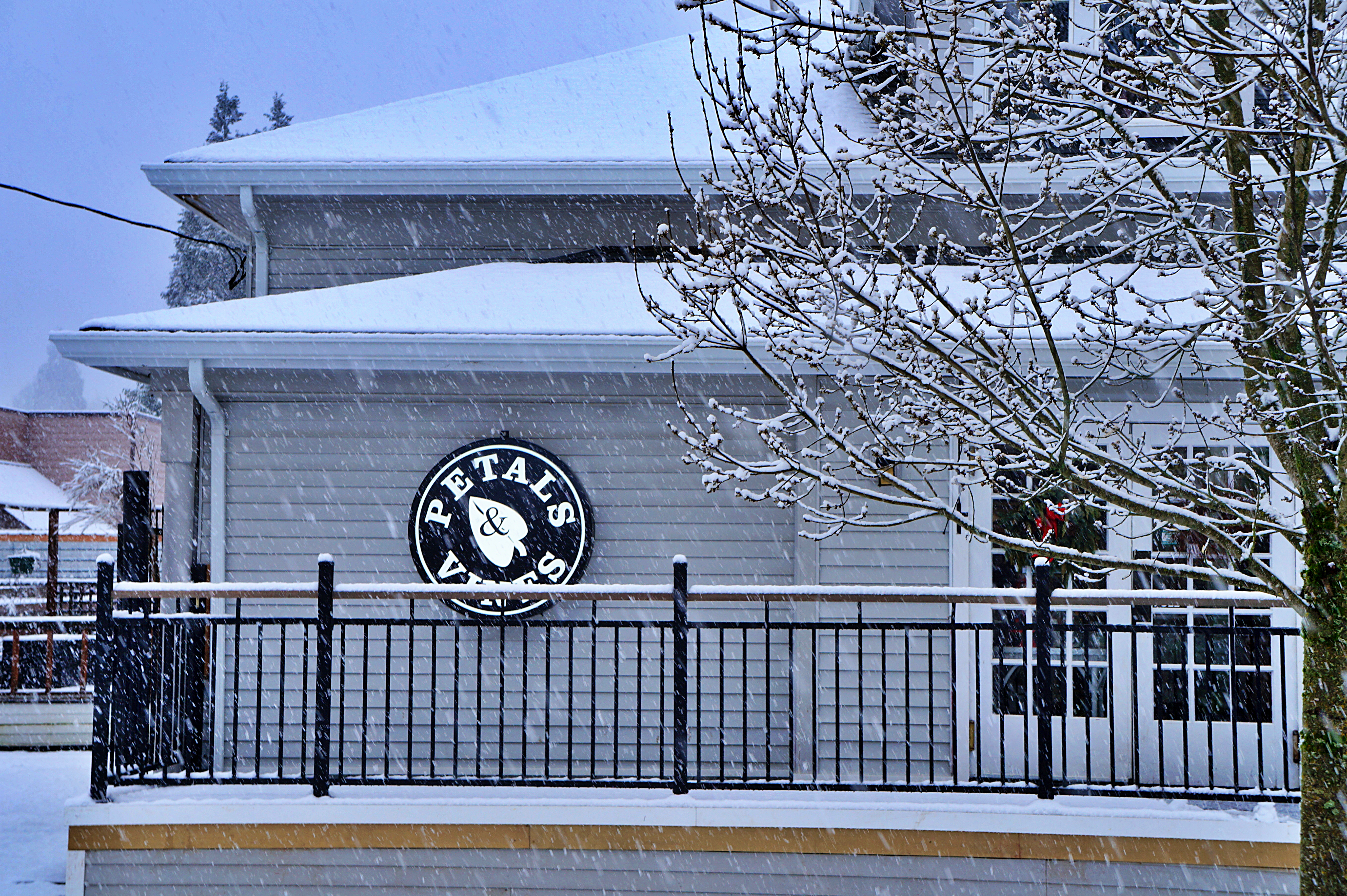 Petals & Vines is the grow-to place for plants