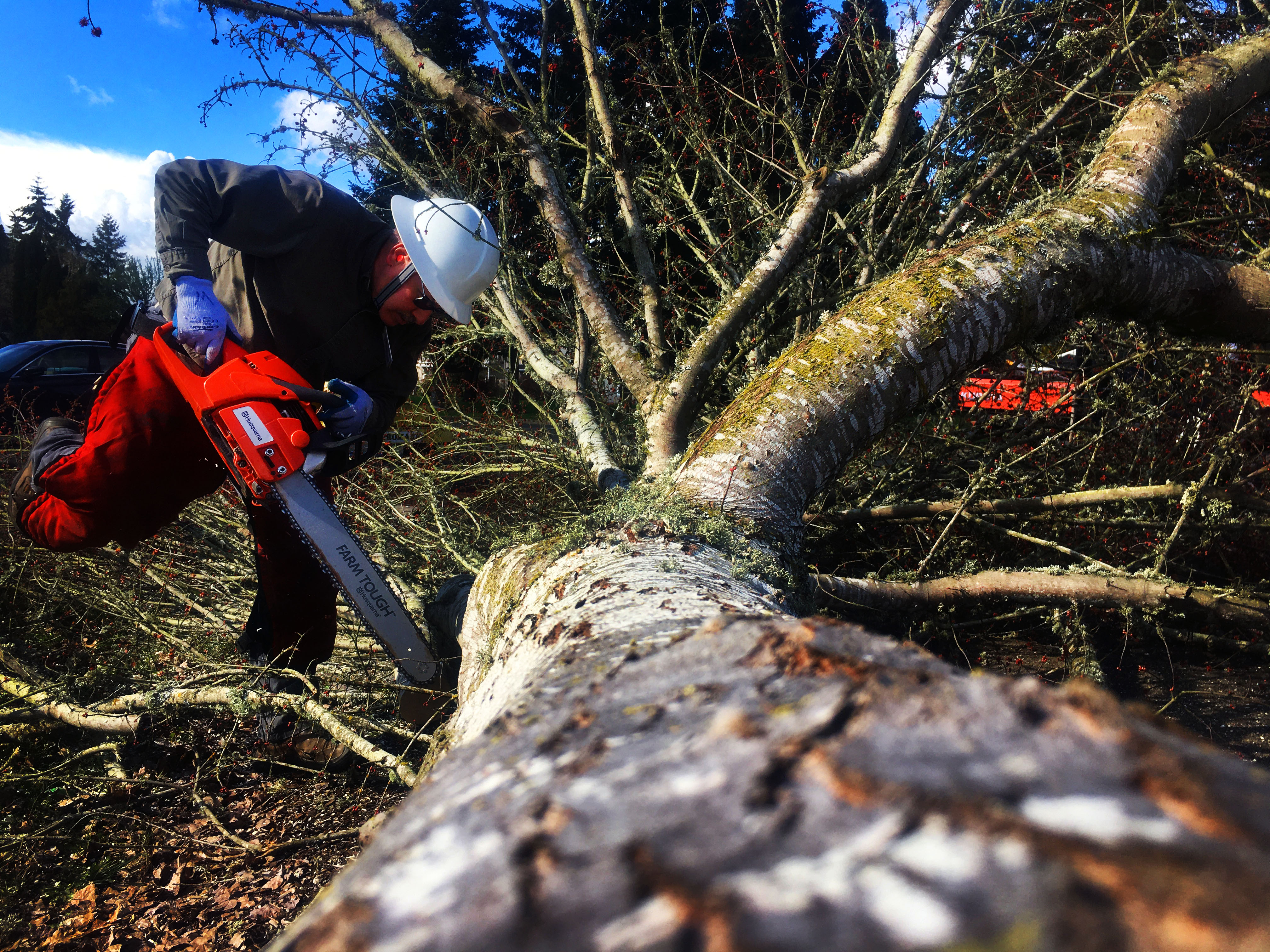 Campus cleanup in the works
