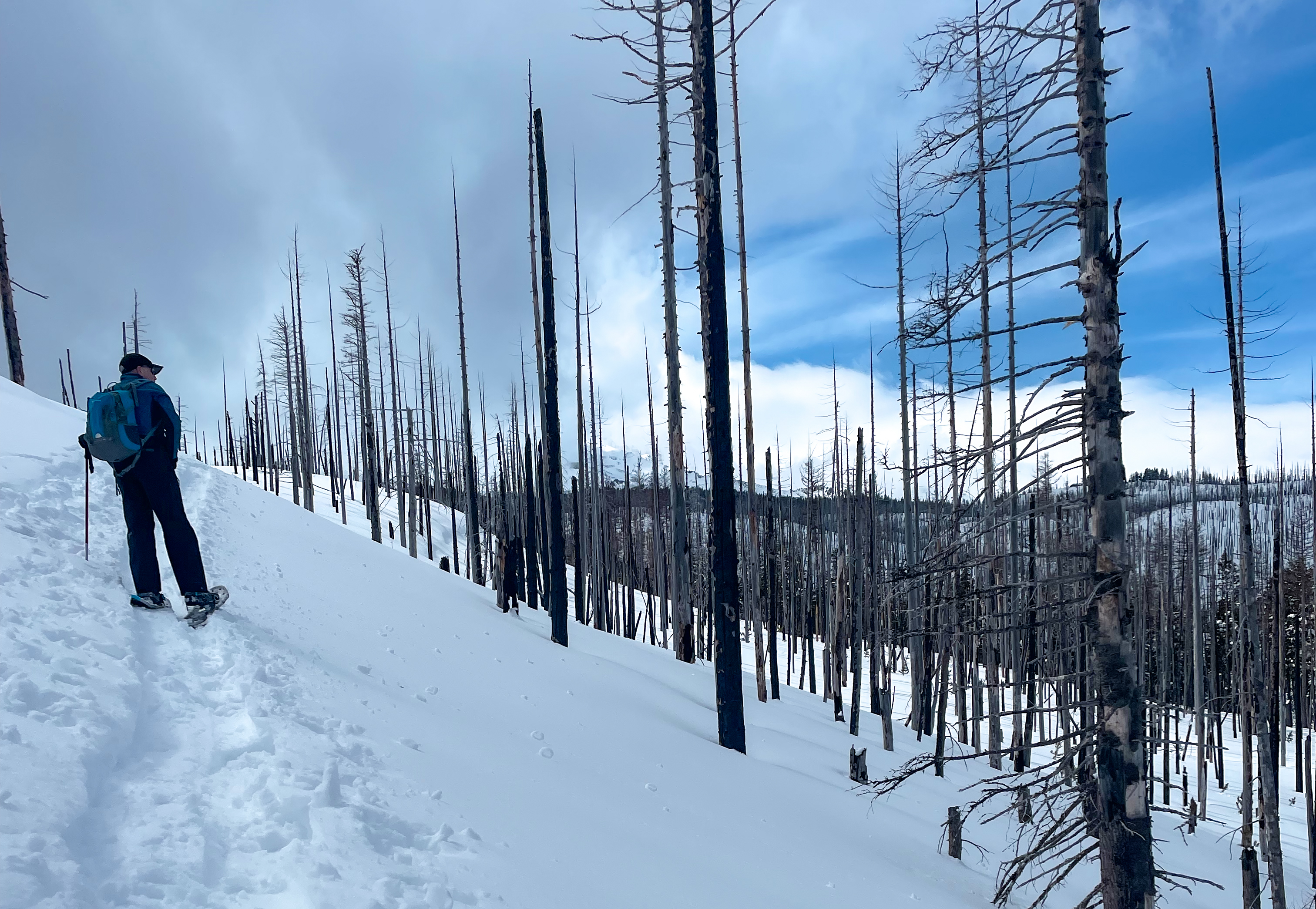 Snowshoeing in the spring