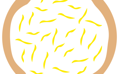 Sunshine sugar cookie