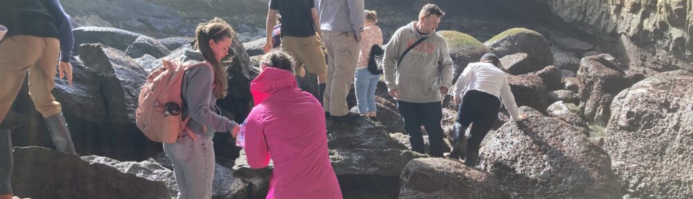 Students in the intertidal near Devil's Punchbowl.