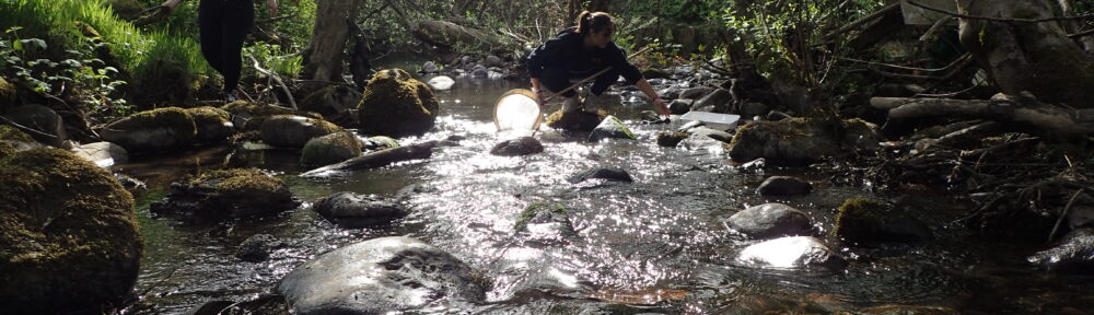 Students collecting invertebrates in the Little Lukiamute River.